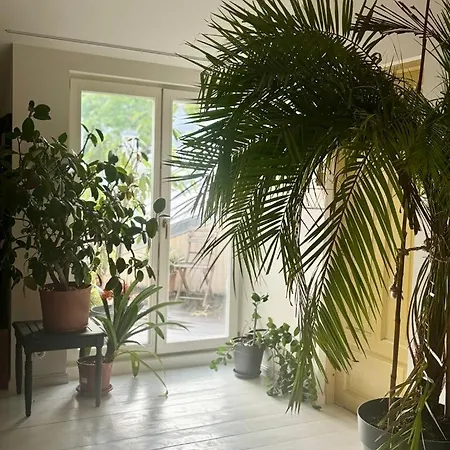 Appartamento Koidula Nest