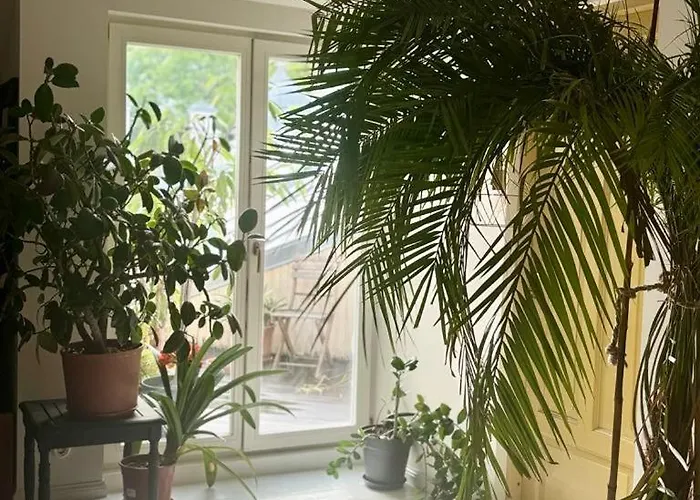 Apartmán Koidula Nest